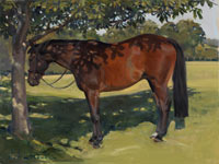 20 Horse Chestnut Oil on canvas 18x24 inches