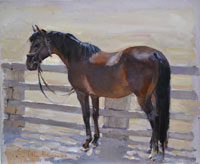 10 Australian Stockhorse Kelso Oil on board 10x12 inches