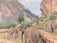 8 Early morning, Ithumba Tsavo 