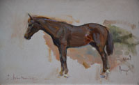14 Amyr, my horse in Jordan Oil on board 7 x 12 inches