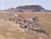 12 Break on the way to Wadi Rum 