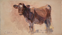 37 Woolly brown calf Oil on board 7x12 inches