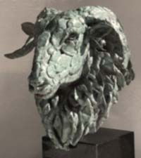 Blackface ewe bust