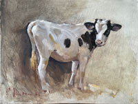 34 Mostly white calf 